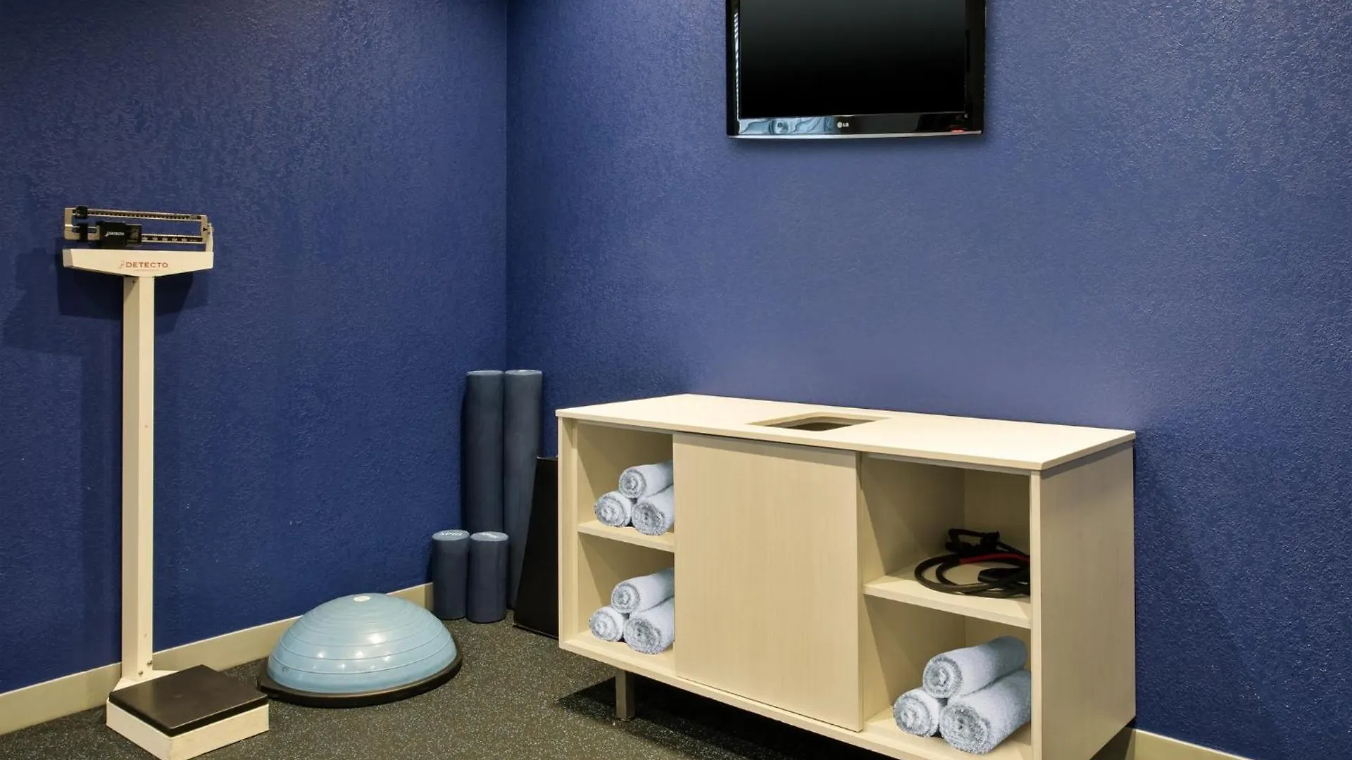Hotel Holiday Inn Express Nashville Airport By Ihg