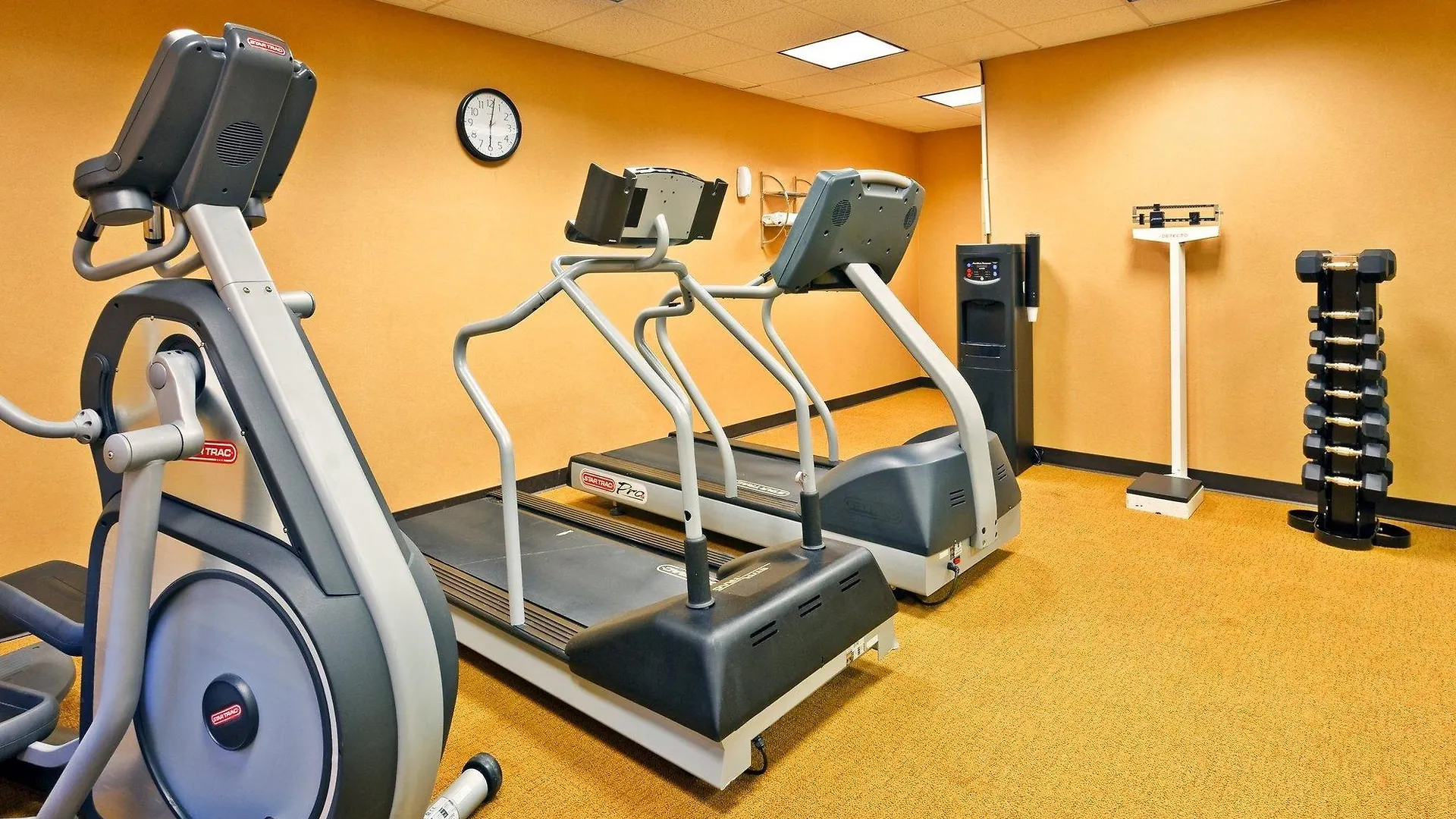 *** Hotel Holiday Inn Express Nashville Airport By Ihg United States